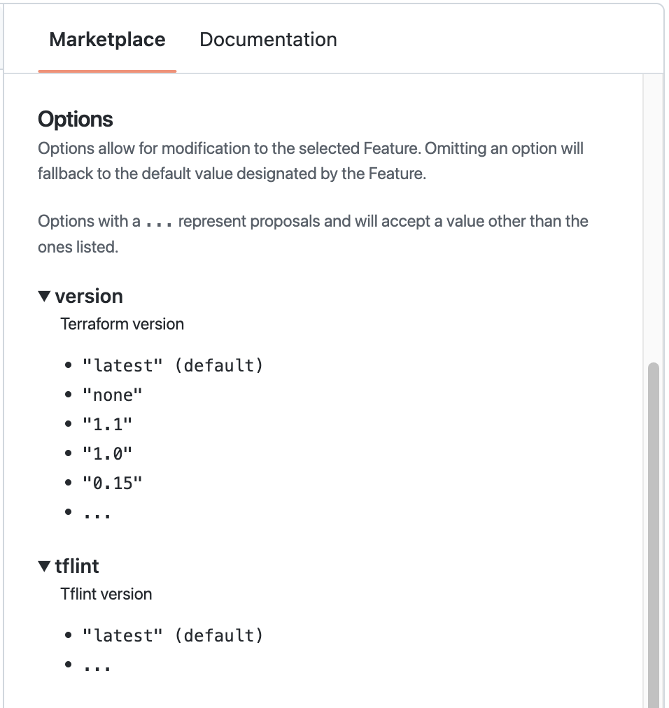 Screenshot of the "Options" section of the "Marketplace" tab, with the "version" and "tflint" properties expanded.